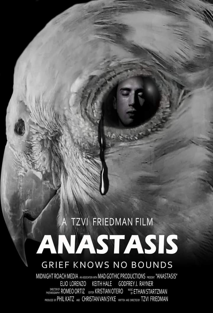 Anastasis (2020)